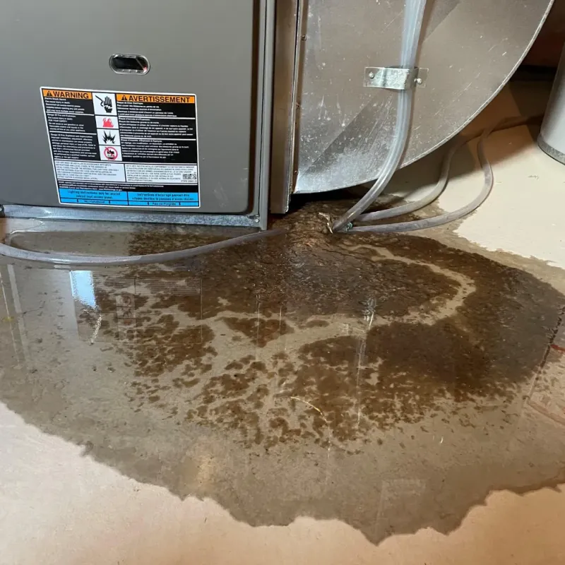 Appliance Leak Cleanup in Mount Gilead, NC