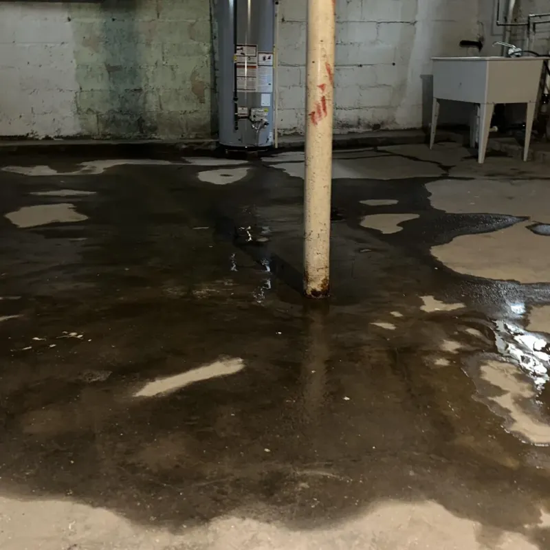 Emergency Water Extraction And Removal in Mount Gilead, NC